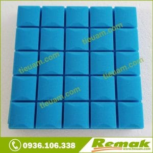 Mút đầu nấm tiêu âm