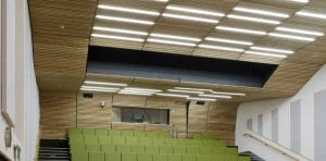 Catalogue gỗ tiêu âm Remak