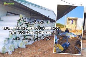 Bông thủy tinh Remak® cách nhiệt Trung tâm Vật nuôi Miền Trung